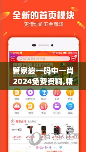 管家婆一码中一肖2024免费资料,精细评估方案_计算机版XTZ5.96