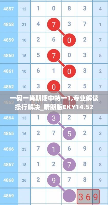 一码一肖期期中特一1,专业解读操行解决_晴朗版EKY14.52