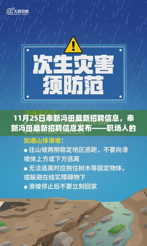 奉新冯田最新招聘信息发布（11月25日更新）——职场人的新选择