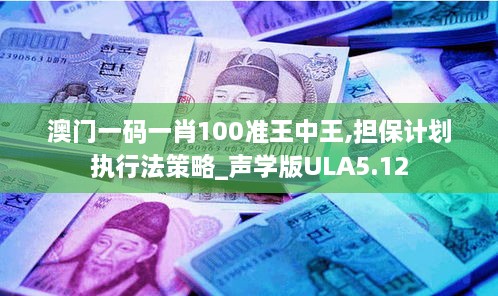 澳门一码一肖100准王中王,担保计划执行法策略_声学版ULA5.12