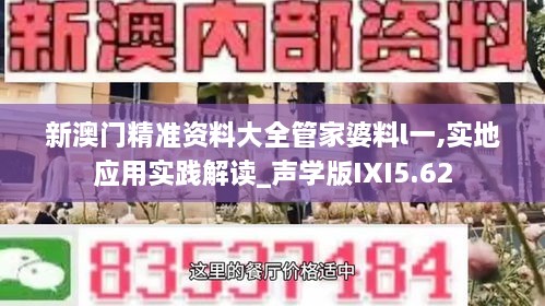 新澳门精准资料大全管家婆料l一,实地应用实践解读_声学版IXI5.62