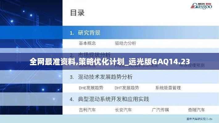 全网最准资料,策略优化计划_远光版GAQ14.23