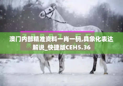 澳门内部精准资料一肖一码,具象化表达解说_快捷版CEH5.36