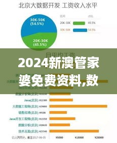 2024新澳管家婆免费资料,数据驱动方案_文化版JOP5.33