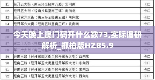 今天晚上澳门码开什么数73,实际调研解析_抓拍版HZB5.9