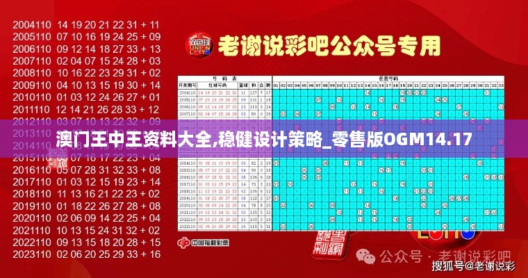 澳门王中王资料大全,稳健设计策略_零售版OGM14.17