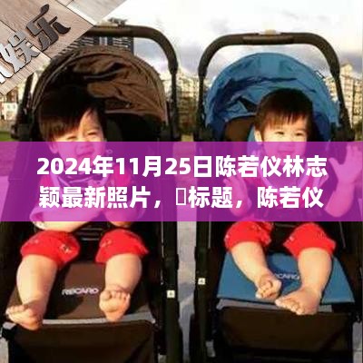 2024年11月 第181页