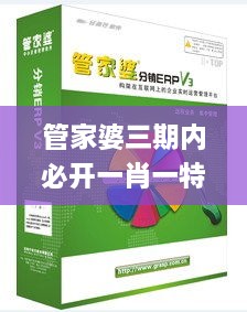 管家婆三期内必开一肖一特,高效性设计规划_性能版JPS14.73