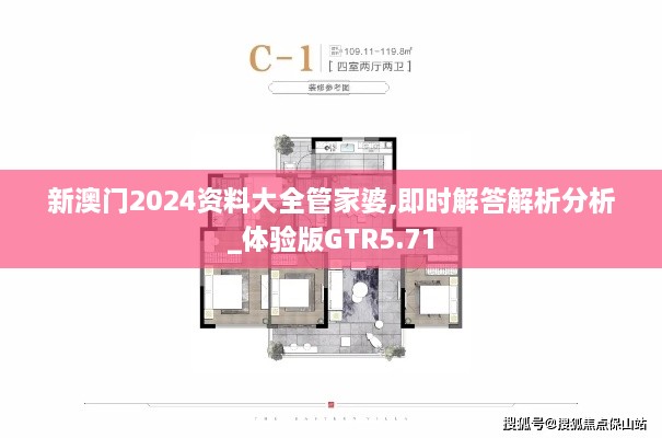 新澳门2024资料大全管家婆,即时解答解析分析_体验版GTR5.71