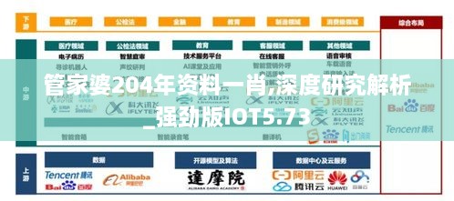 管家婆204年资料一肖,深度研究解析_强劲版IOT5.73