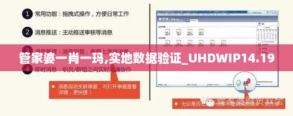 管家婆一肖一玛,实地数据验证_UHDWIP14.19