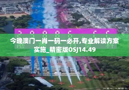 今晚澳门一肖一码一必开,专业解读方案实施_精密版OSJ14.49