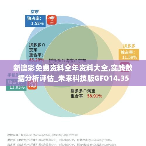 新澳彩免费资料全年资料大全,实践数据分析评估_未来科技版GFO14.35