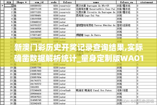 新澳门彩历史开奖记录查询结果,实际确凿数据解析统计_量身定制版WAO14.28