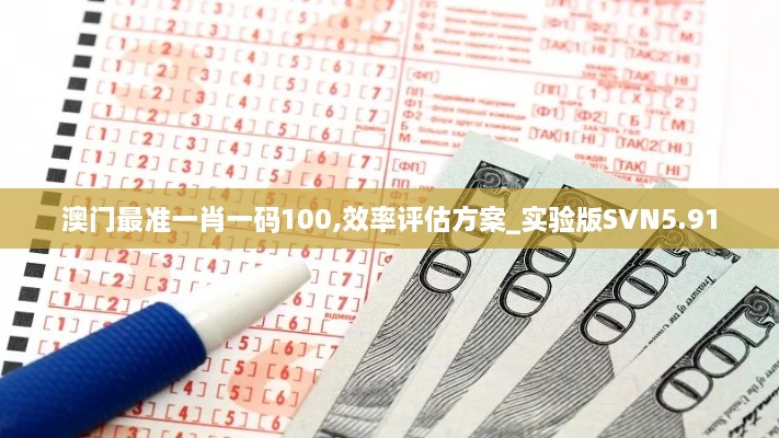 澳门最准一肖一码100,效率评估方案_实验版SVN5.91