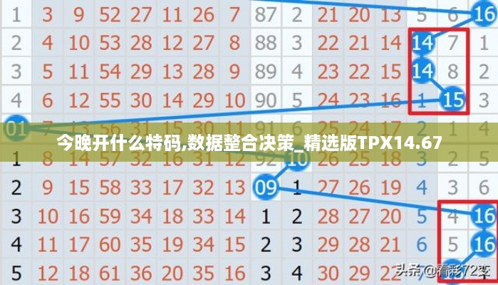 今晚开什么特码,数据整合决策_精选版TPX14.67