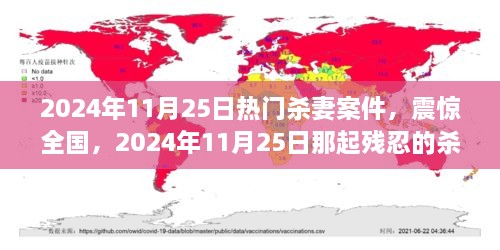 震惊全国！深度剖析2024年1月25日残忍杀妻案