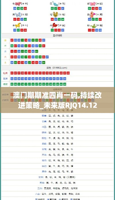 澳门期期准四肖一码,持续改进策略_未来版RJQ14.12