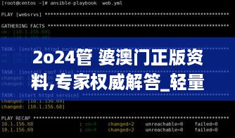 2o24管 婆澳门正版资料,专家权威解答_轻量版RBY5.44