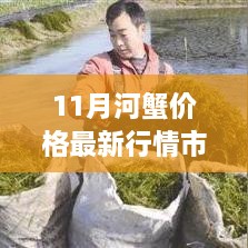 11月河蟹价格最新行情深度评测与介绍