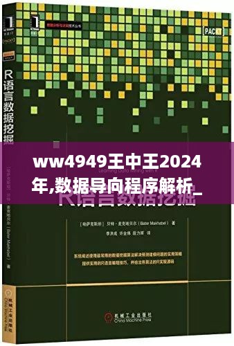 ww4949王中王2024年,数据导向程序解析_实用版KRO5.37