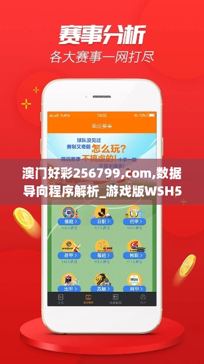 澳门好彩256799,com,数据导向程序解析_游戏版WSH5.15