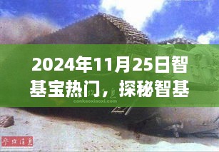 探秘智基宝热门，小巷深处的独特风味，2024年11月25日的奇遇。