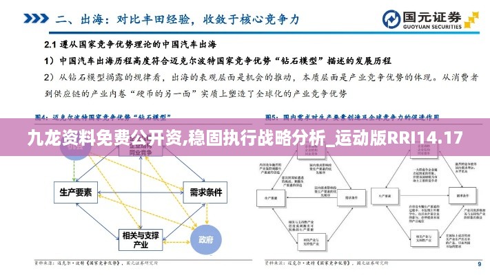 九龙资料免费公开资,稳固执行战略分析_运动版RRI14.17