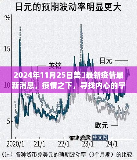 美国疫情下的心灵疗愈之旅，寻找宁静绿洲与自然的疗愈力量（最新疫情消息）