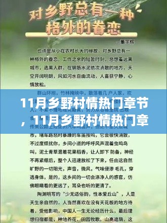 11月乡野村情，深入剖析情感与变迁的热门章节