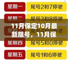 保定最新限号措施深度解读，案例分析与细节探讨