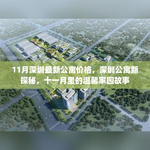 深圳公寓新探秘，十一月温馨家园故事与最新公寓价格解析