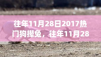 往年11月28日热门狗撵兔事件回顾，2017年的影响与分析