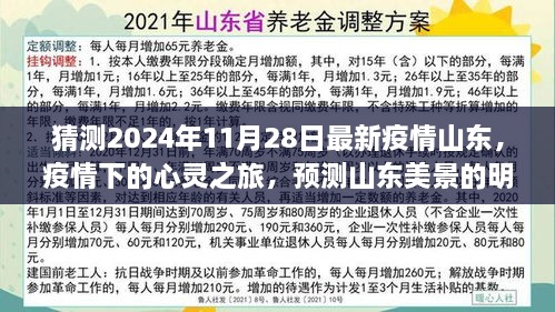 2024年山东疫情下的心灵之旅，探寻宁静力量，预测山东美景的明天