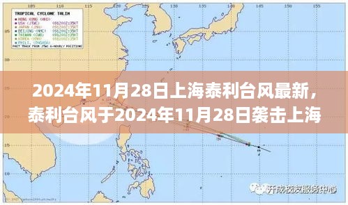 2024年11月 第138页