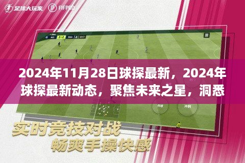 聚焦未来之星，2024年球探最新动态与赛场风云变幻