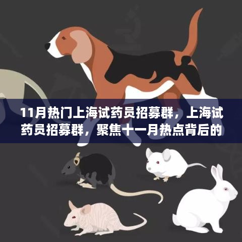 揭秘上海试药员招募群背后的故事，探寻十一月热点事件内幕