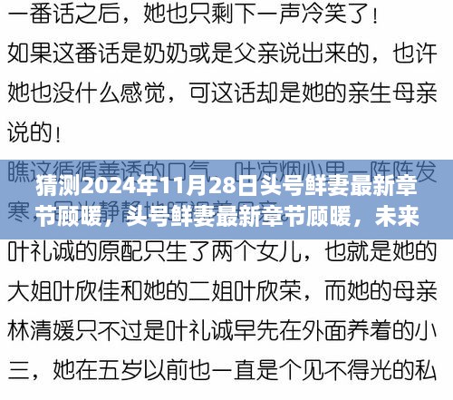 头号鲜妻顾暖的未来之约，2024年11月28日最新章节猜测与期待