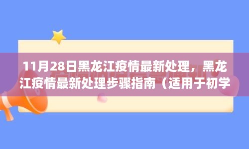 黑龙江疫情处理最新指南，初学者与进阶用户必备步骤（11月28日更新）