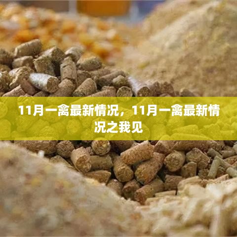 11月一禽最新动态，我的观察与见解