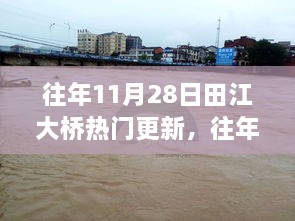 往年11月28日田江大桥热门更新，往年11月28日田江大桥改造更新热议背后的各方观点探析