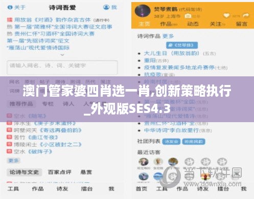 澳门管家婆四肖选一肖,创新策略执行_外观版SES4.3