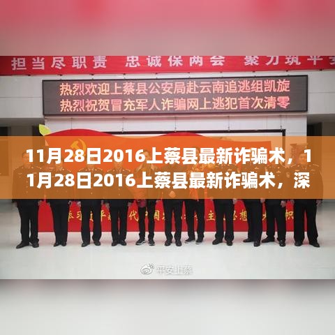 揭秘！2016年上蔡县最新诈骗手段深度剖析与观点阐述