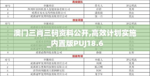 澳门三肖三码资料公开,高效计划实施_内置版PUJ18.6