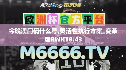 今晚澳门码什么号,灵活性执行方案_变革版RWK18.43