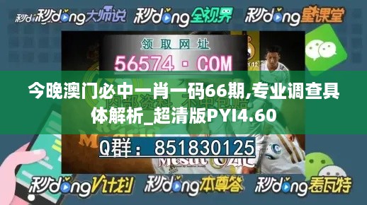 今晚澳门必中一肖一码66期,专业调查具体解析_超清版PYI4.60