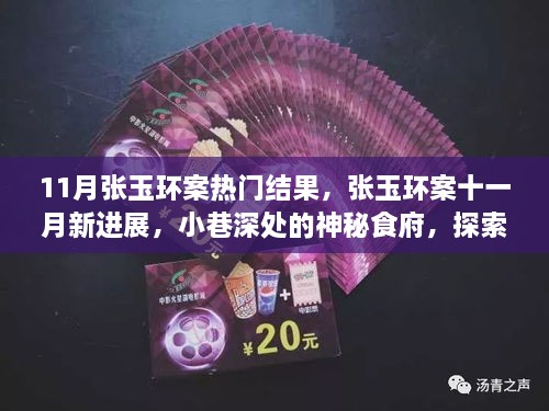 张玉环案最新进展揭秘，十一月新动态与小巷神秘食府的美食之旅