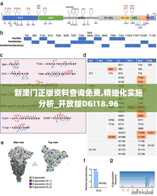 新澳门正版资料查询免费,精细化实施分析_开放版DGI18.96