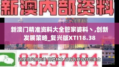 新澳门精准资料大全管家婆料丶,创新发展策略_复兴版XTI18.38