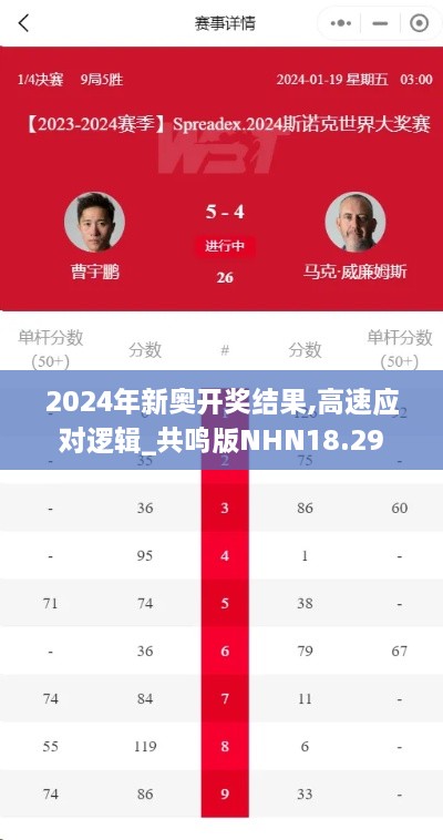 2024年新奥开奖结果,高速应对逻辑_共鸣版NHN18.29